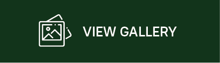 gallery button